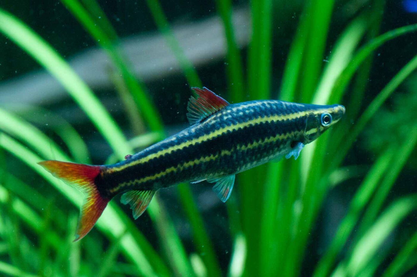 2016-09-18 - Grüner Zoo Wuppertal