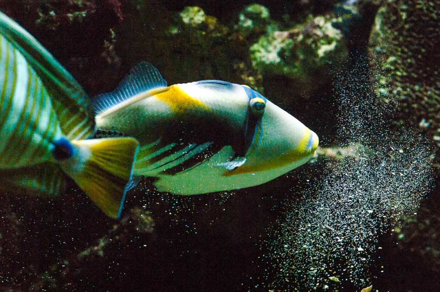 2016-09-18 - Grüner Zoo Wuppertal