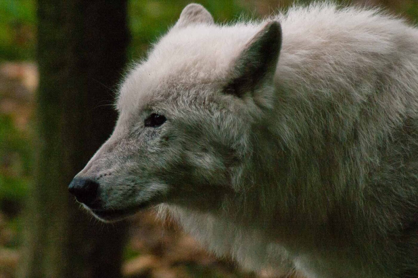 2016-09-18 - GrünerZoo Wuppertal