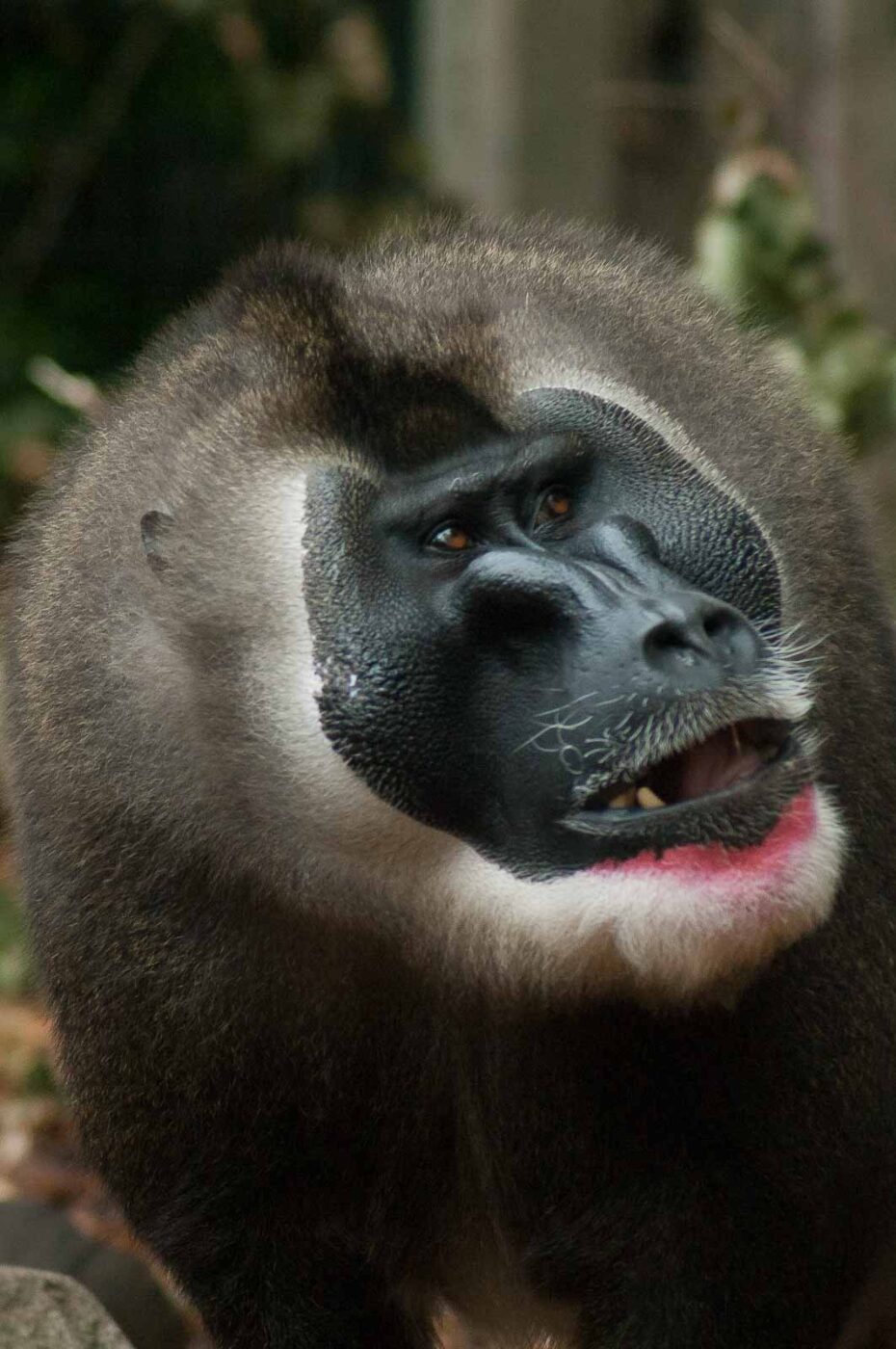 2016-09-18 - GrünerZoo Wuppertal