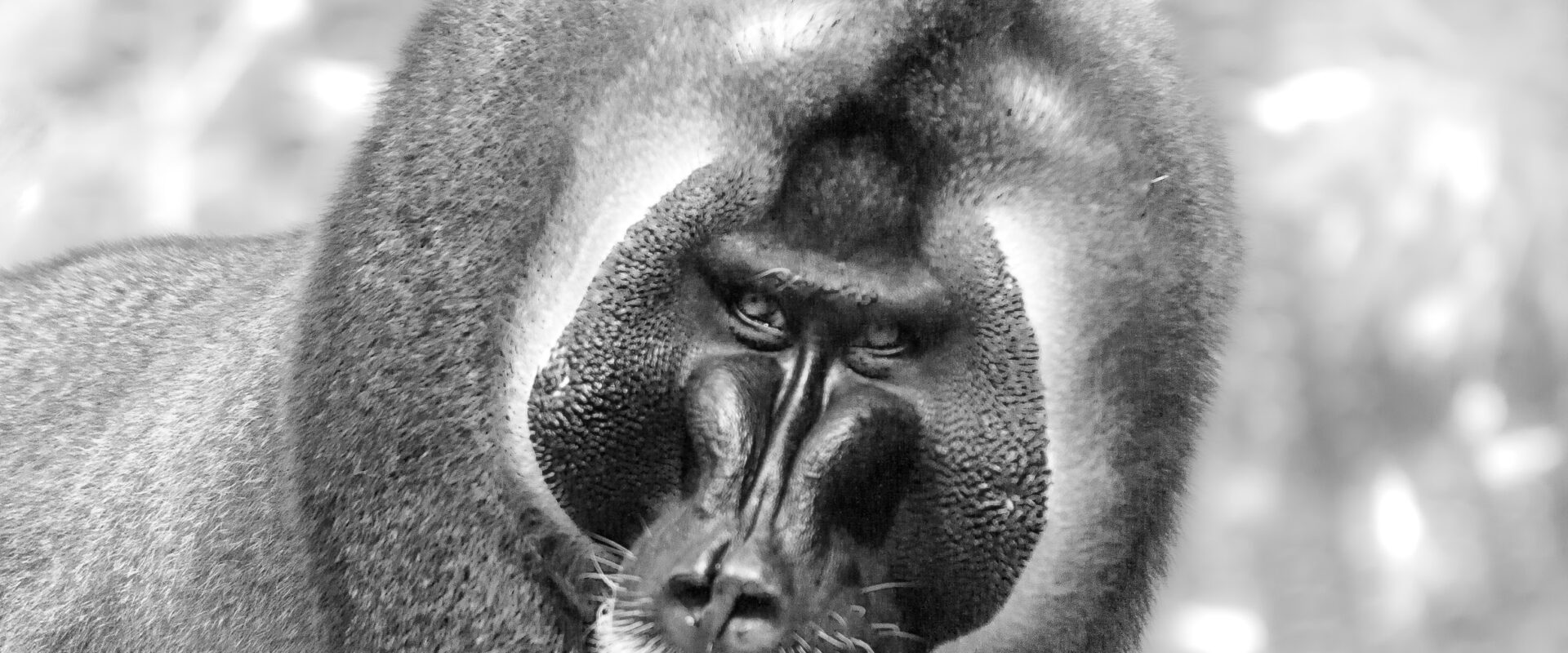 2016-09-18 – Grüner Zoo Wuppertal