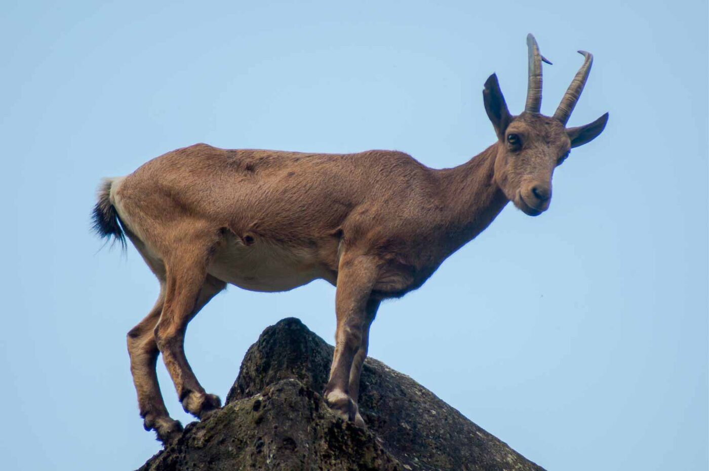 2016-09-18 - GrünerZoo Wuppertal