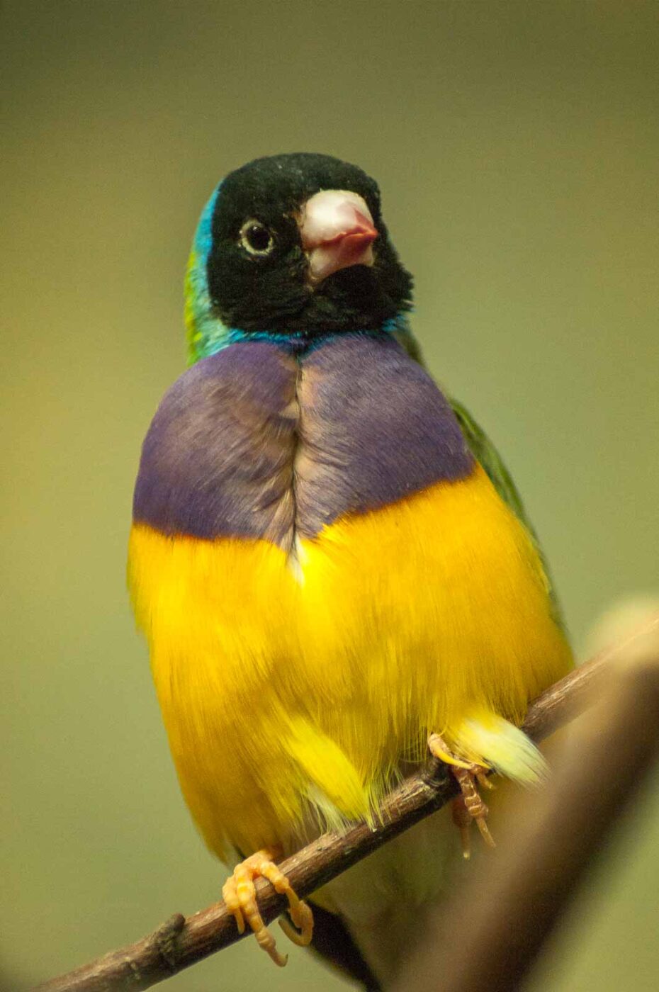 2016-09-18 - GrünerZoo Wuppertal