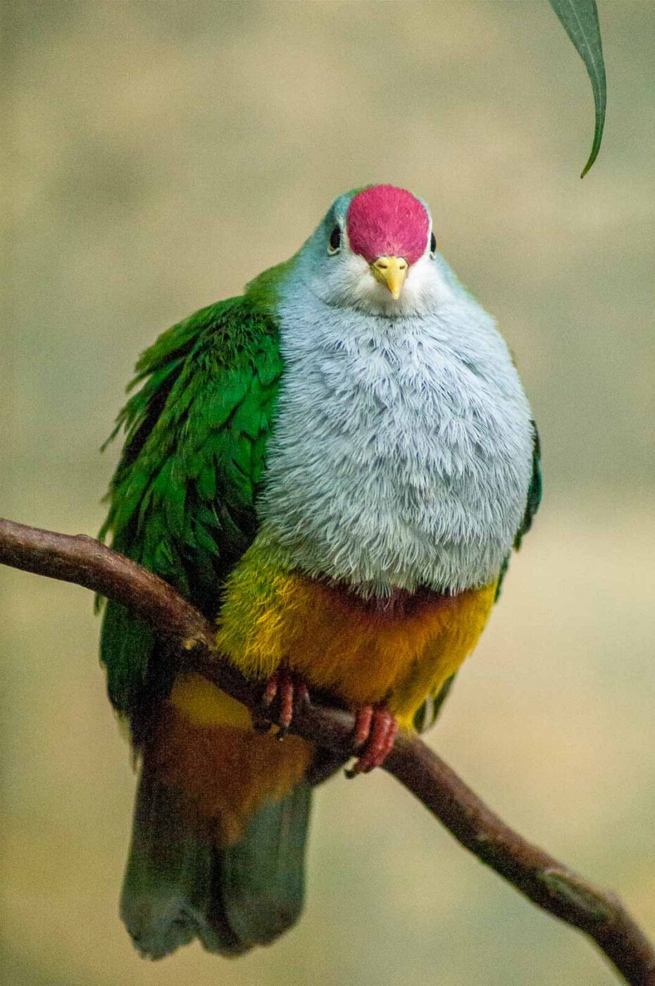 2016-09-18 - GrünerZoo Wuppertal