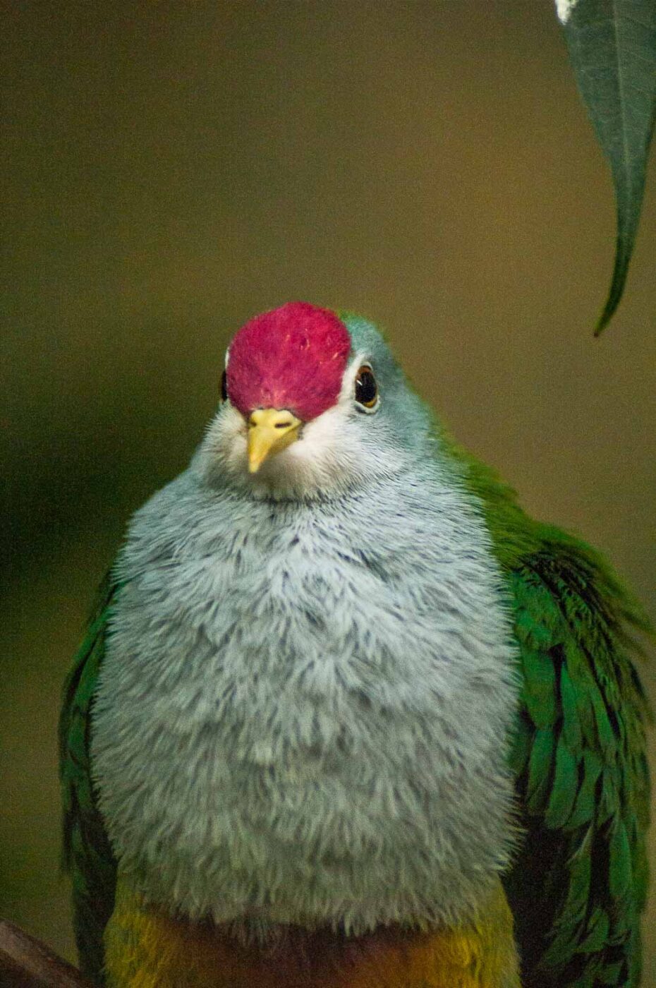 2016-09-18 - GrünerZoo Wuppertal