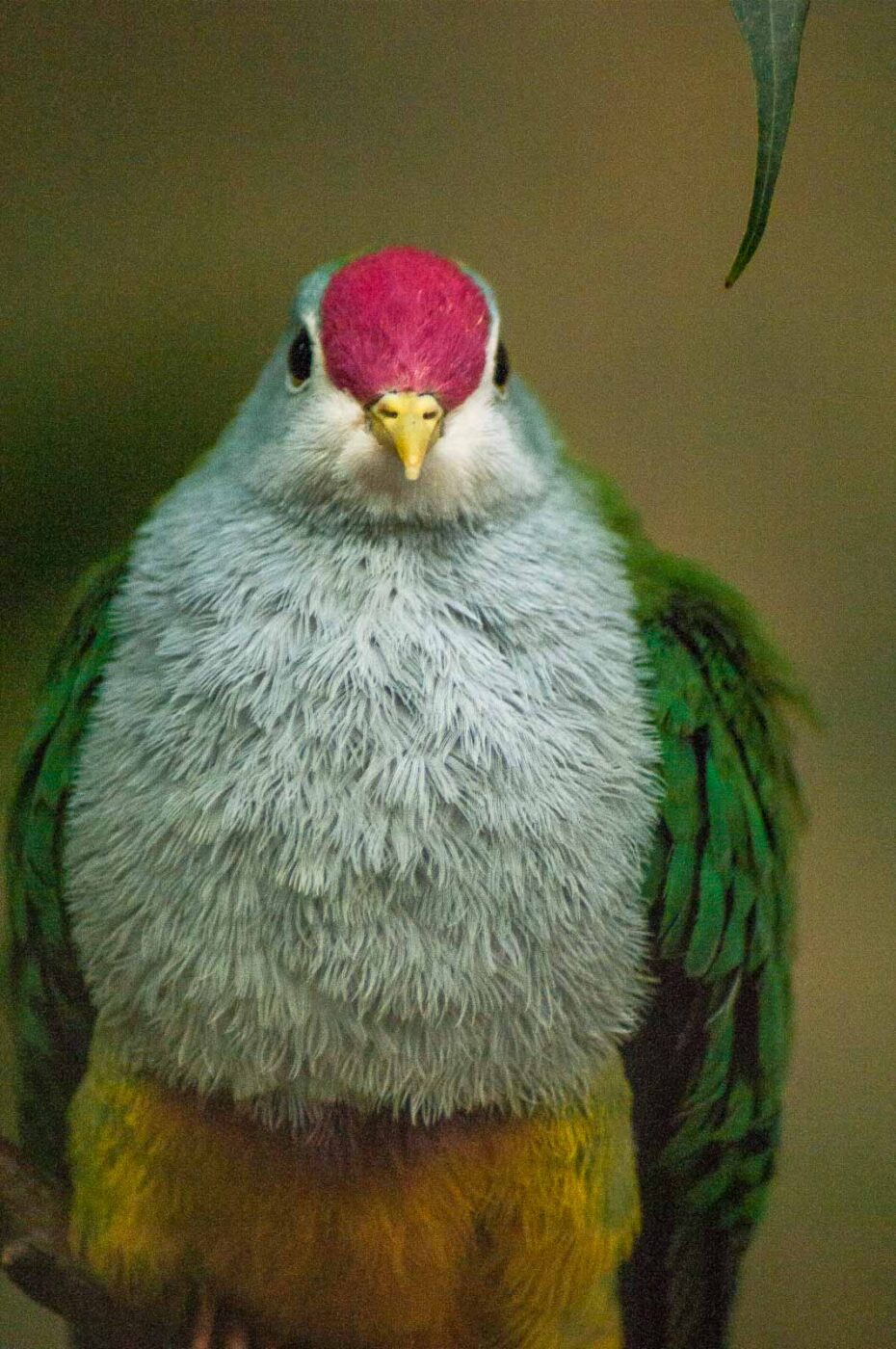 2016-09-18 - GrünerZoo Wuppertal
