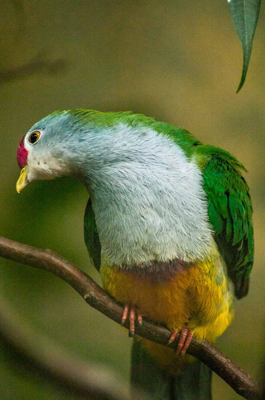 2016-09-18 - GrünerZoo Wuppertal