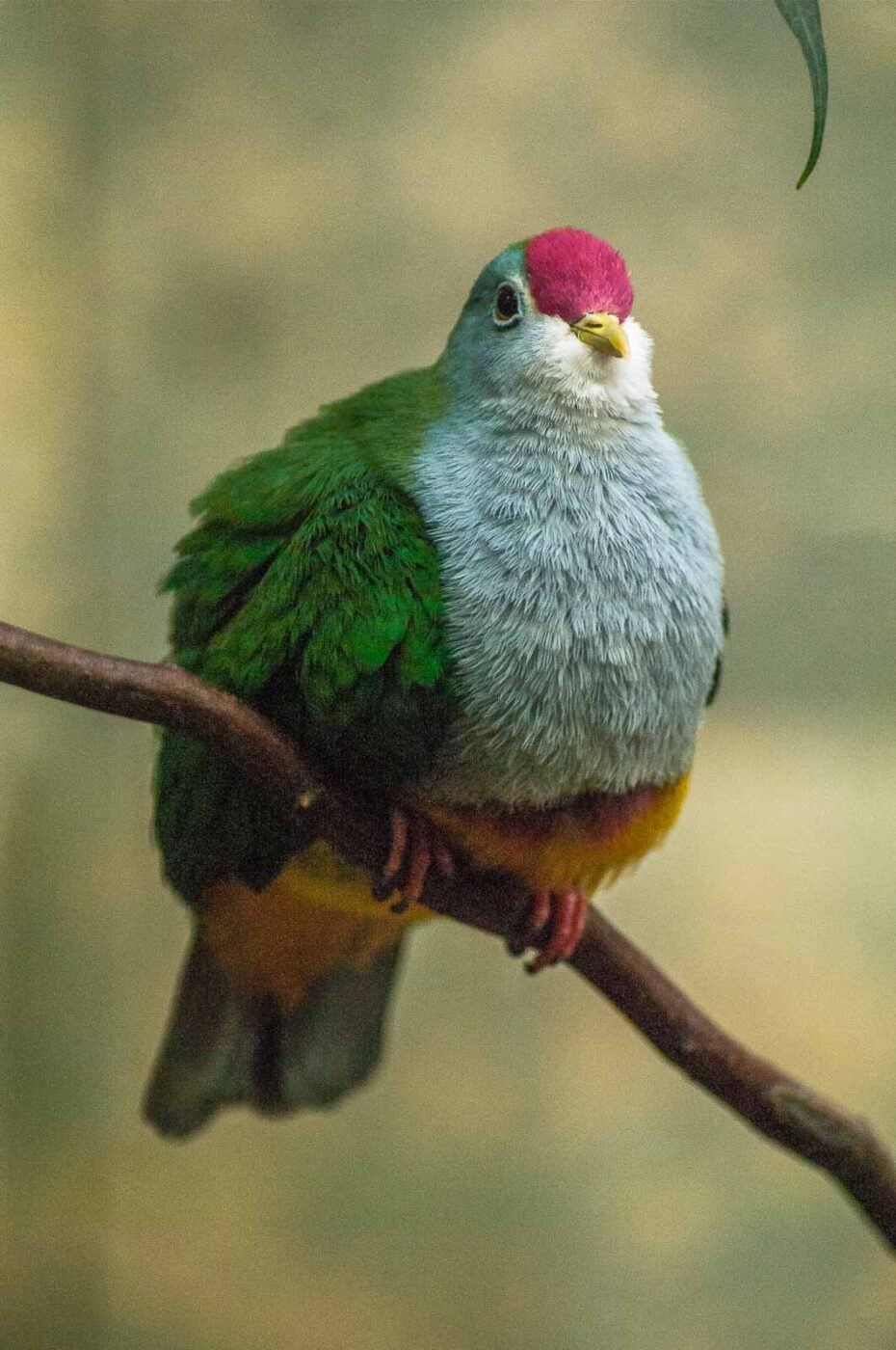 2016-09-18 - GrünerZoo Wuppertal