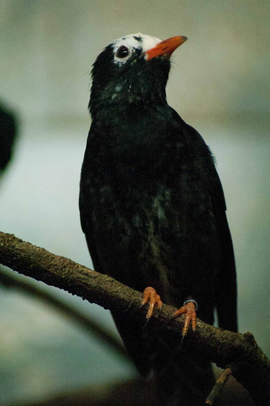 2016-09-18 - GrünerZoo Wuppertal