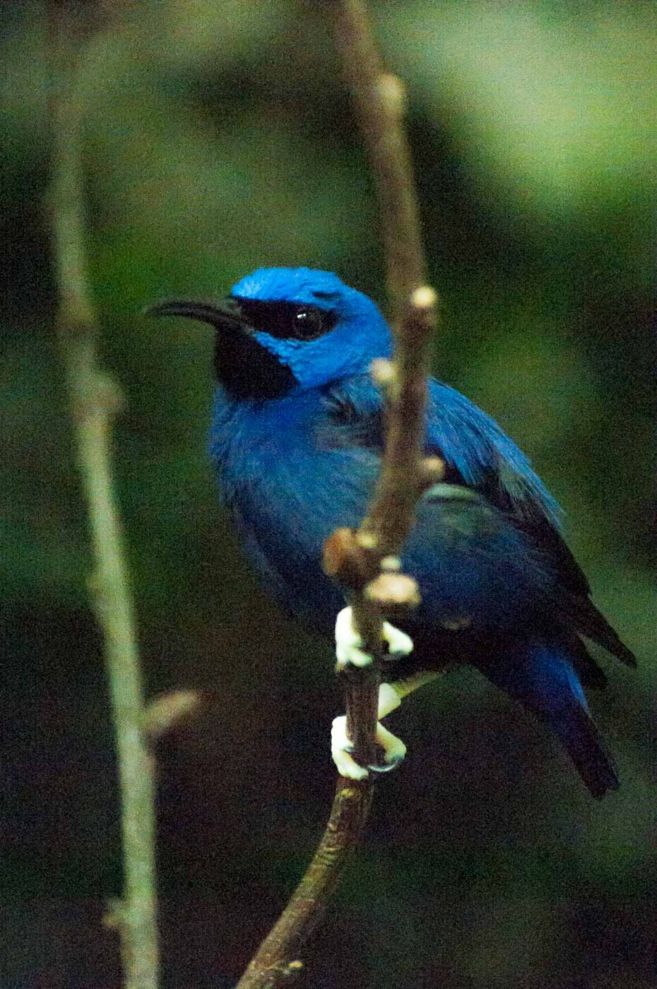 2016-09-18 - GrünerZoo Wuppertal