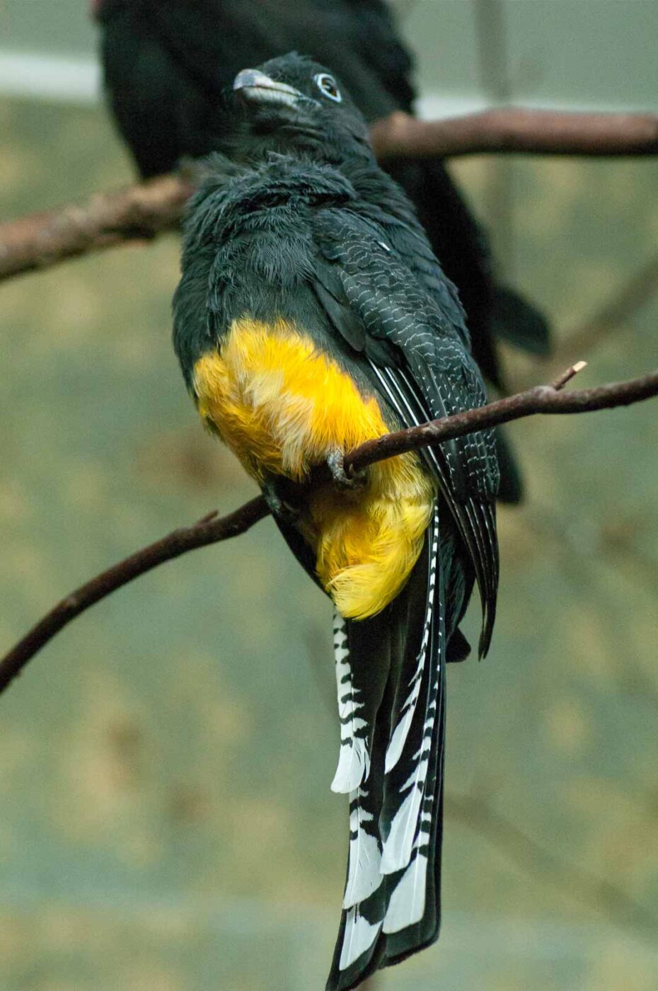 2016-09-18 - GrünerZoo Wuppertal