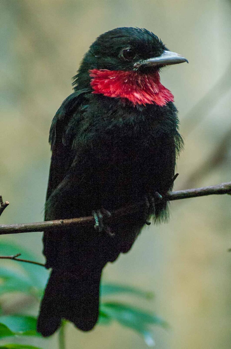 2016-09-18 - GrünerZoo Wuppertal