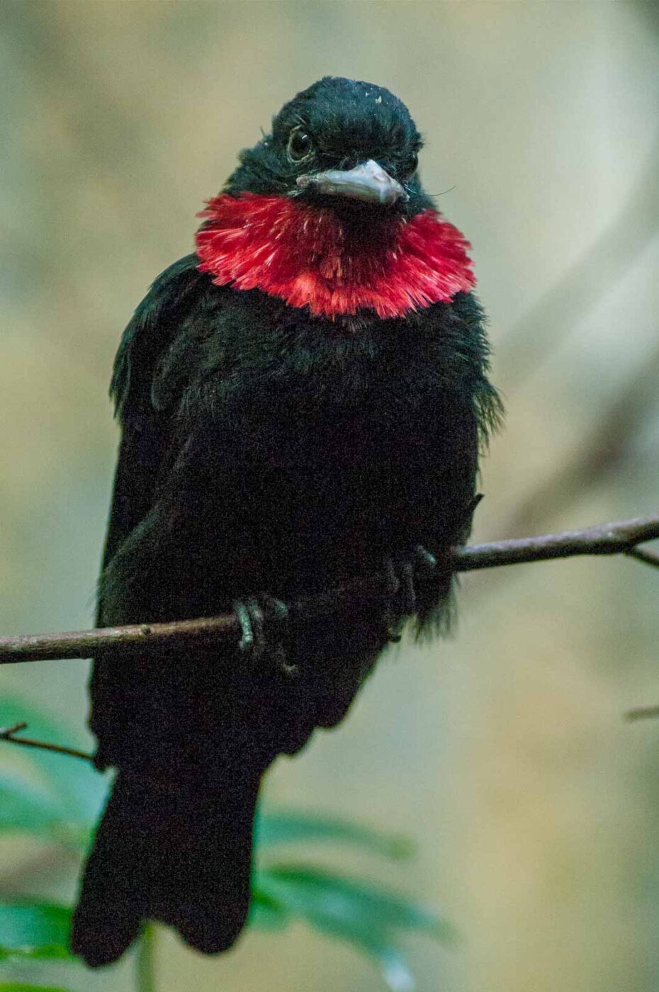 2016-09-18 - GrünerZoo Wuppertal