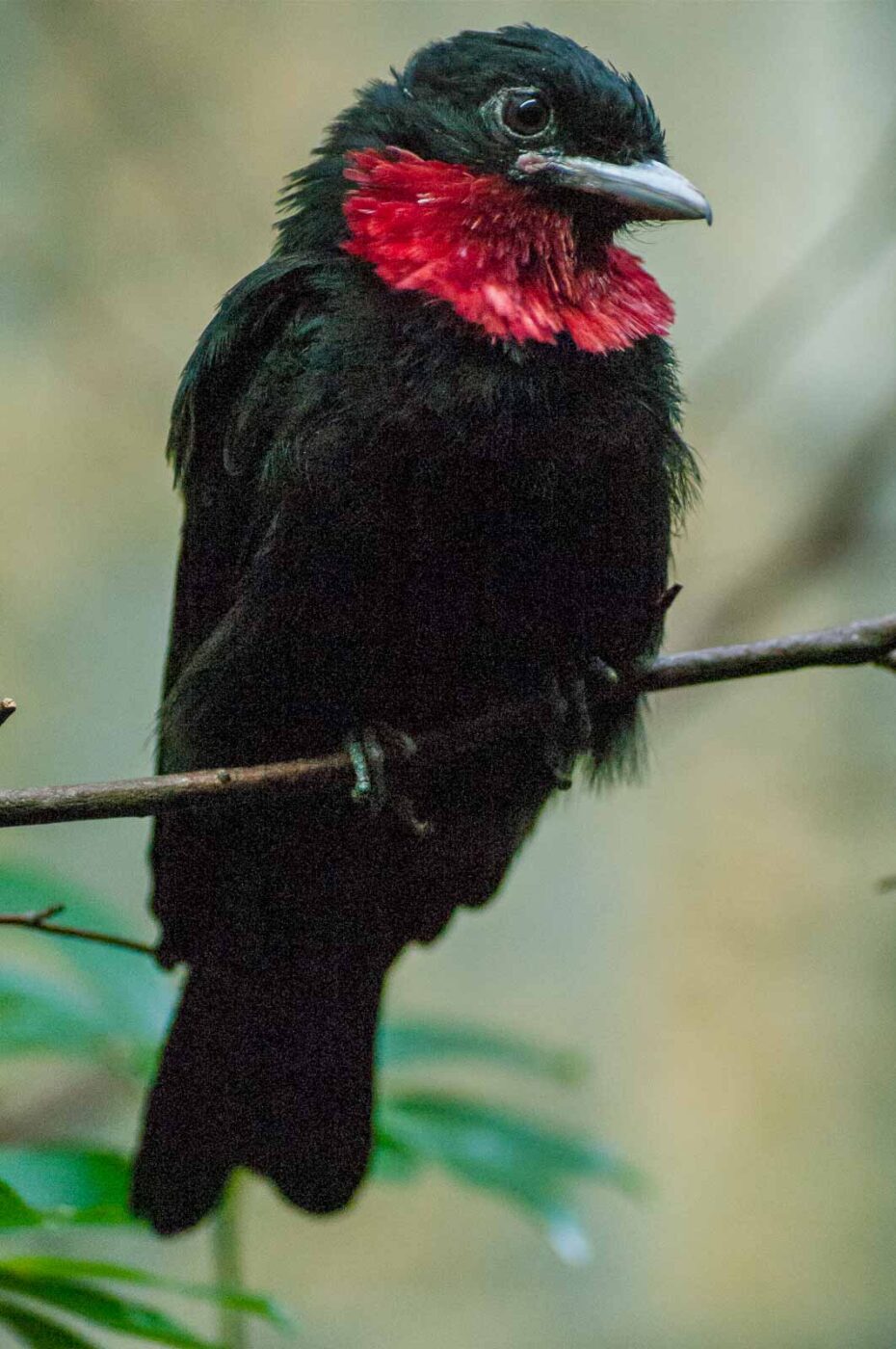 2016-09-18 - GrünerZoo Wuppertal