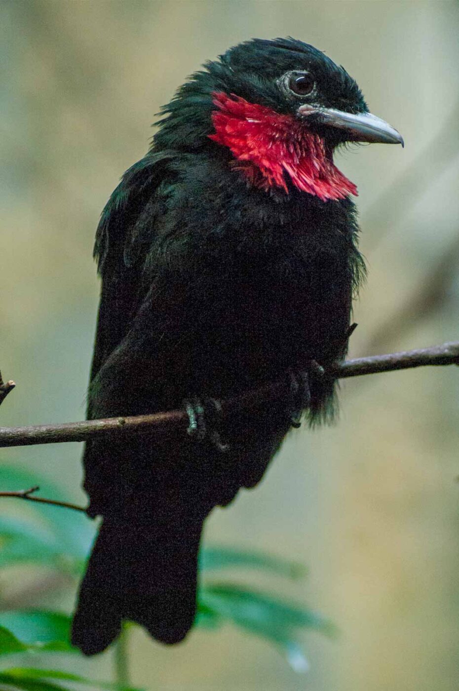 2016-09-18 - GrünerZoo Wuppertal