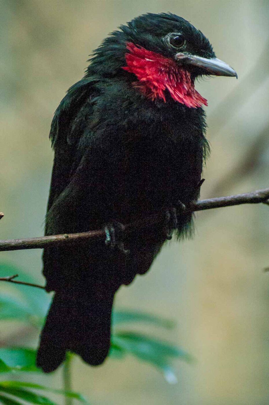 2016-09-18 - GrünerZoo Wuppertal