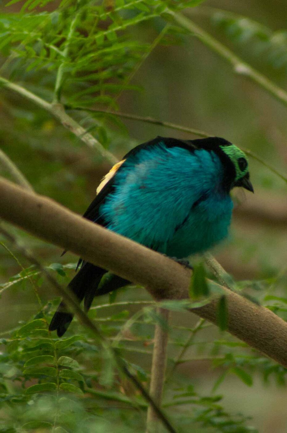 2016-09-18 - GrünerZoo Wuppertal