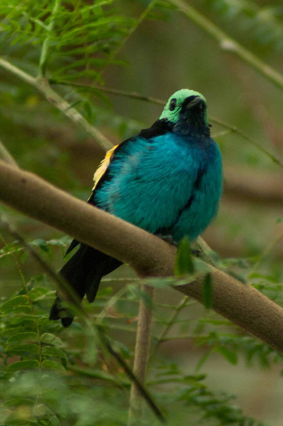 2016-09-18 - GrünerZoo Wuppertal