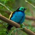 2016-09-18 - GrünerZoo Wuppertal