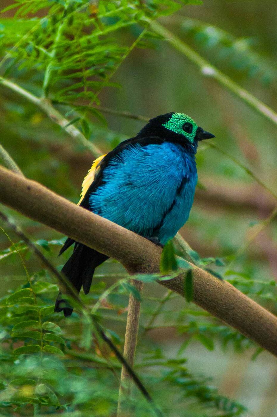 2016-09-18 - GrünerZoo Wuppertal
