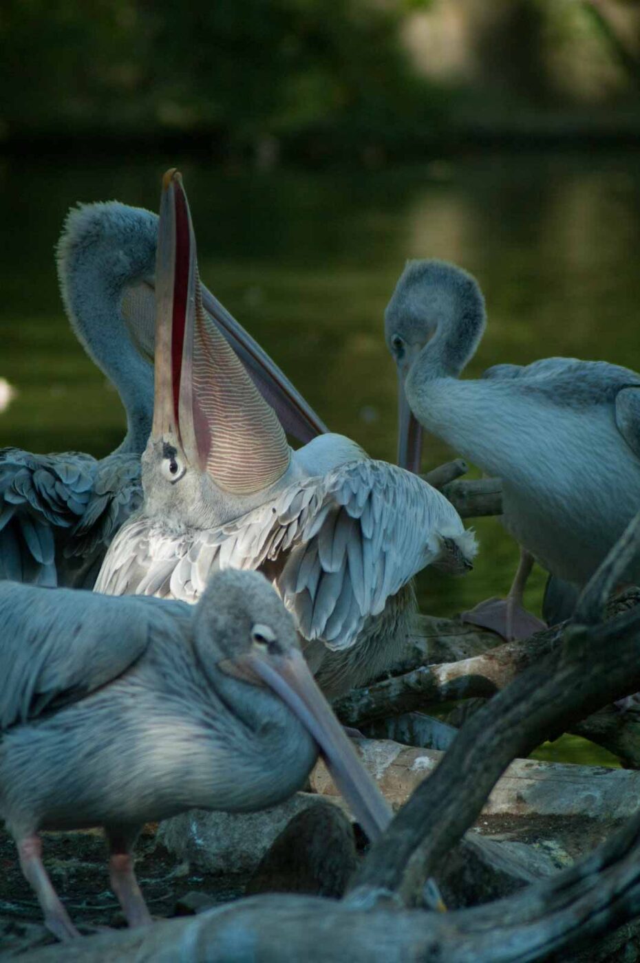 2016-10-05 - Zoo Duisburg