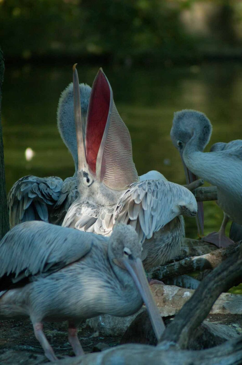 2016-10-05 - Zoo Duisburg