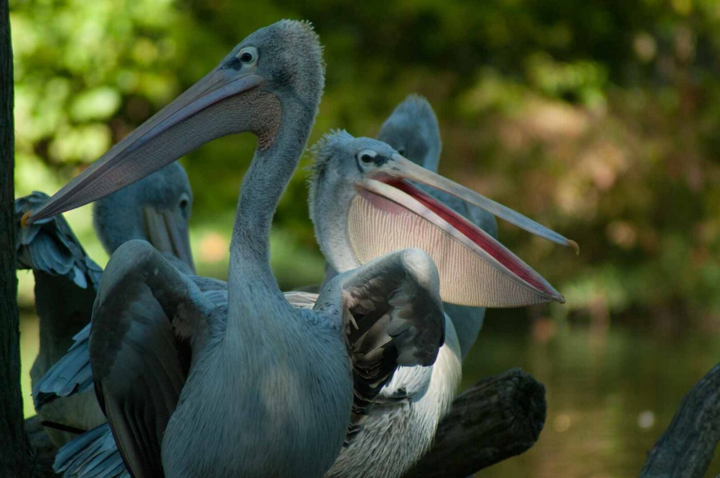 2016-10-05 - Zoo Duisburg