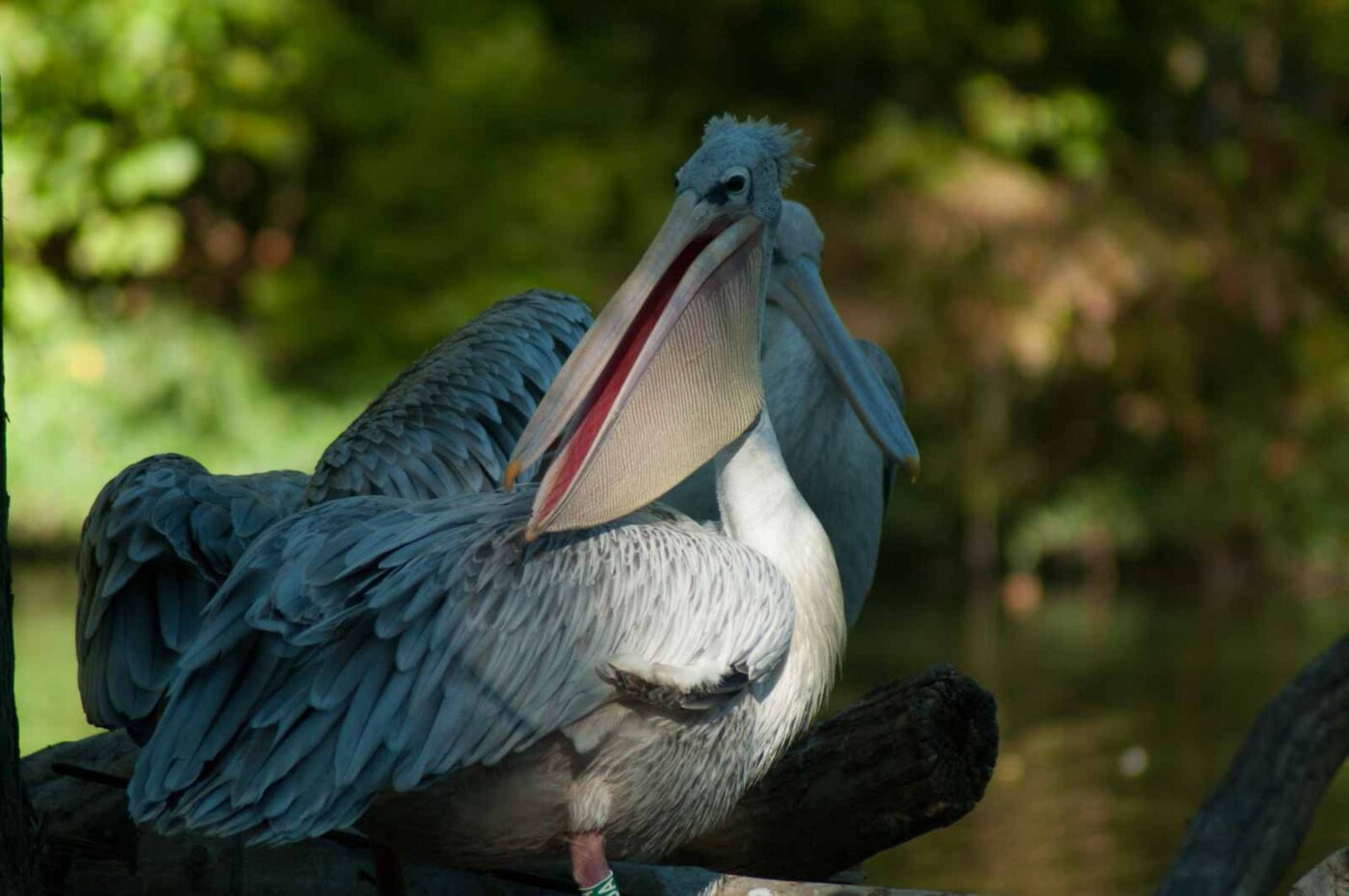 2016-10-05 - Zoo Duisburg