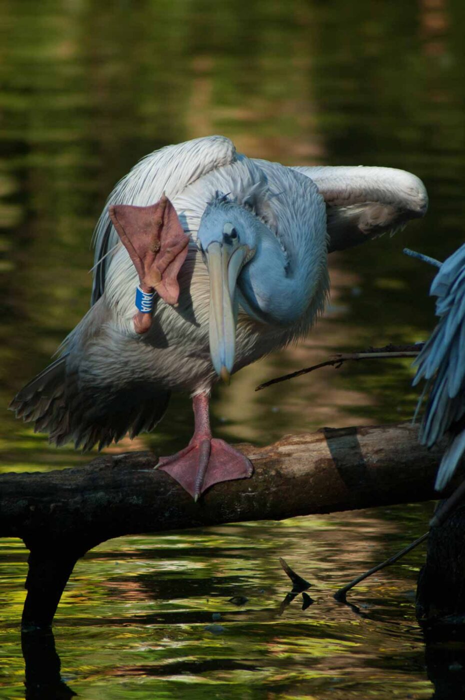 2016-10-05 - Zoo Duisburg