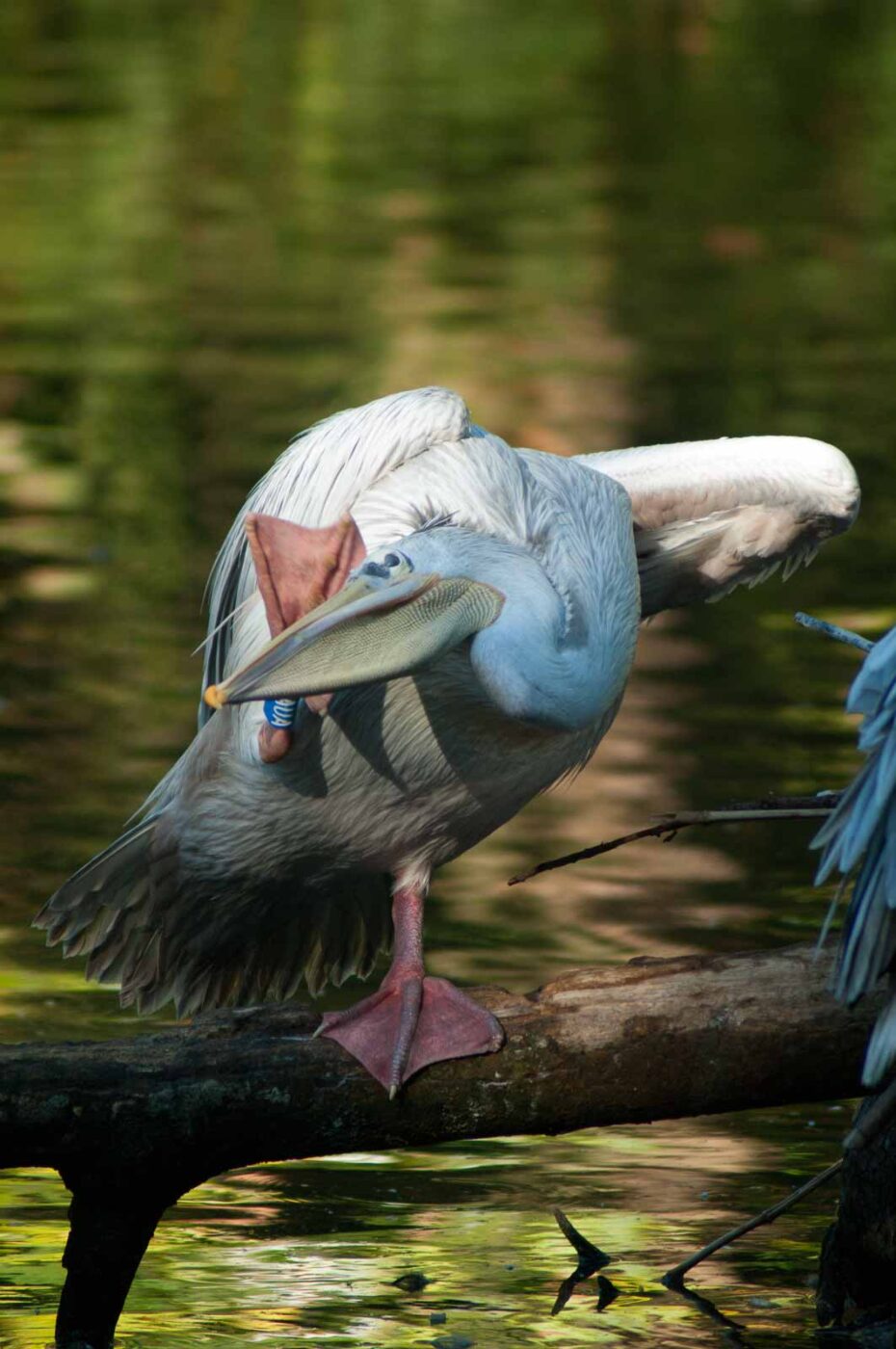 2016-10-05 - Zoo Duisburg