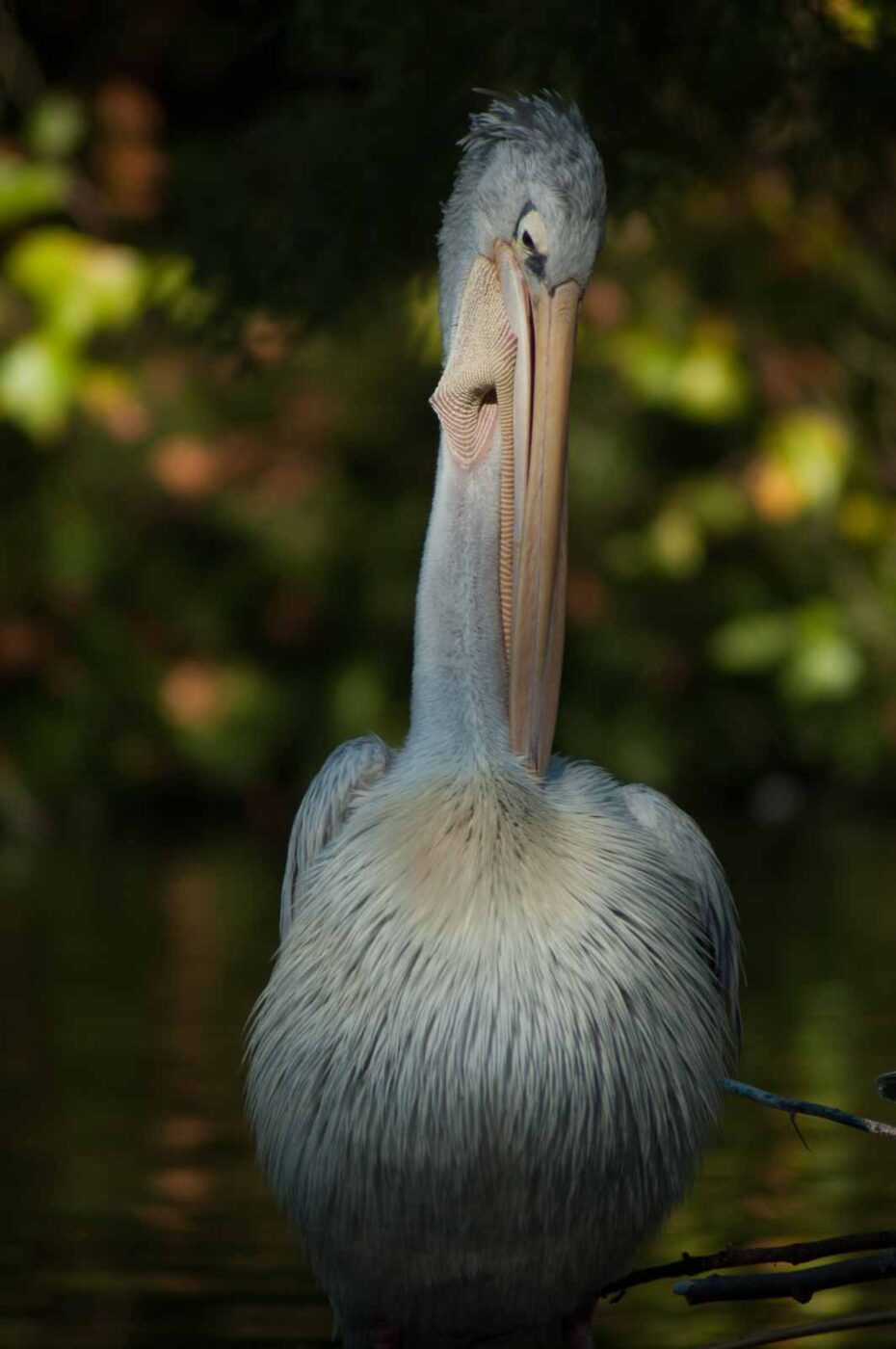 2016-10-05 - Zoo Duisburg
