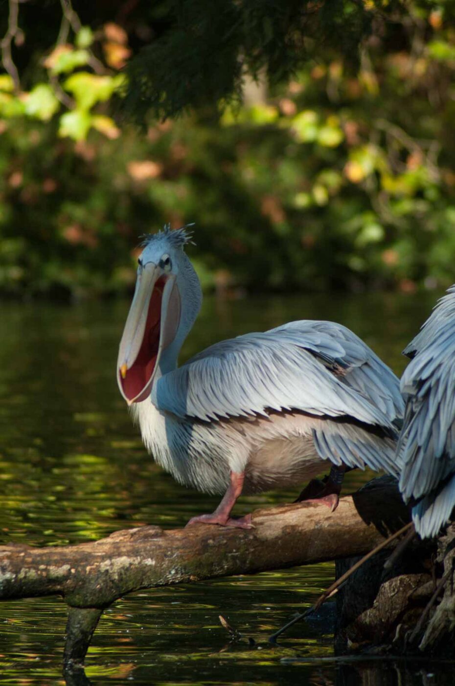 2016-10-05 - Zoo Duisburg
