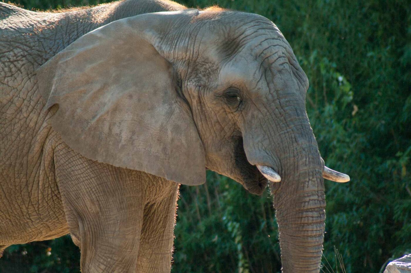 2016-10-05 - Zoo Duisburg