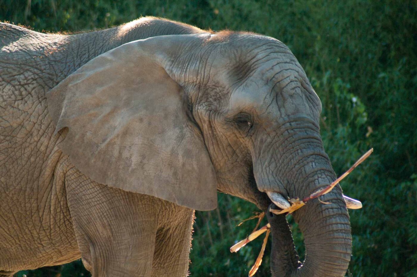 2016-10-05 - Zoo Duisburg