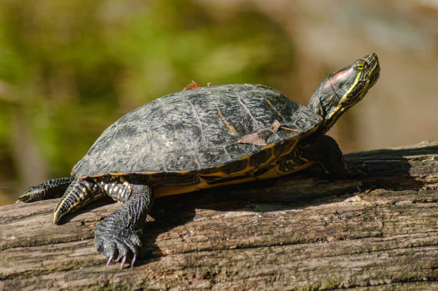 2016-10-05 - Zoo Duisburg