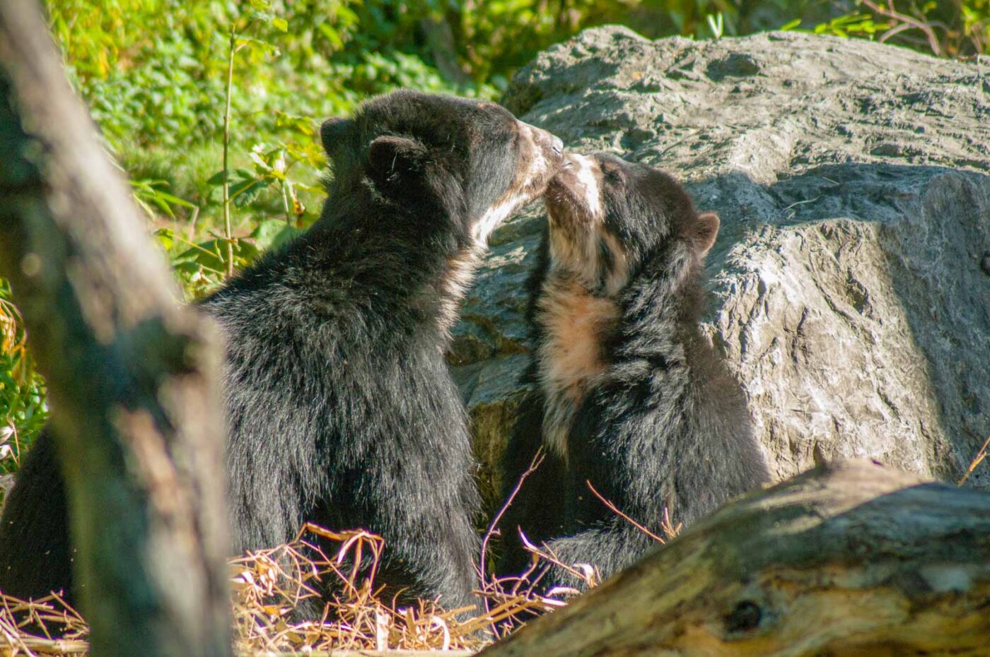 2016-10-05 - Zoo Duisburg