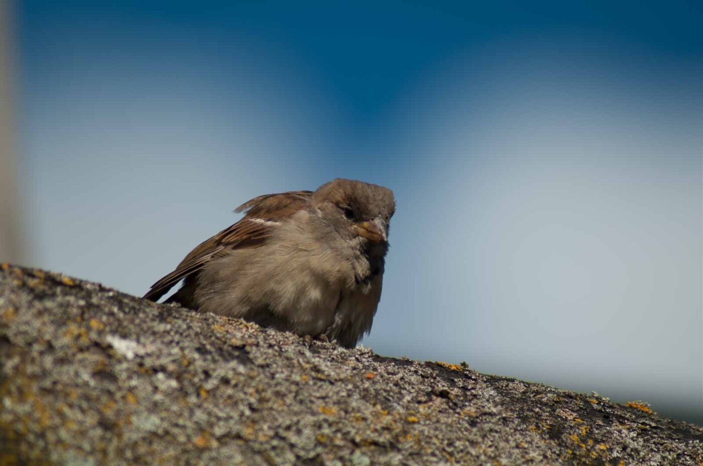 2016-10-05 - Zoo Duisburg