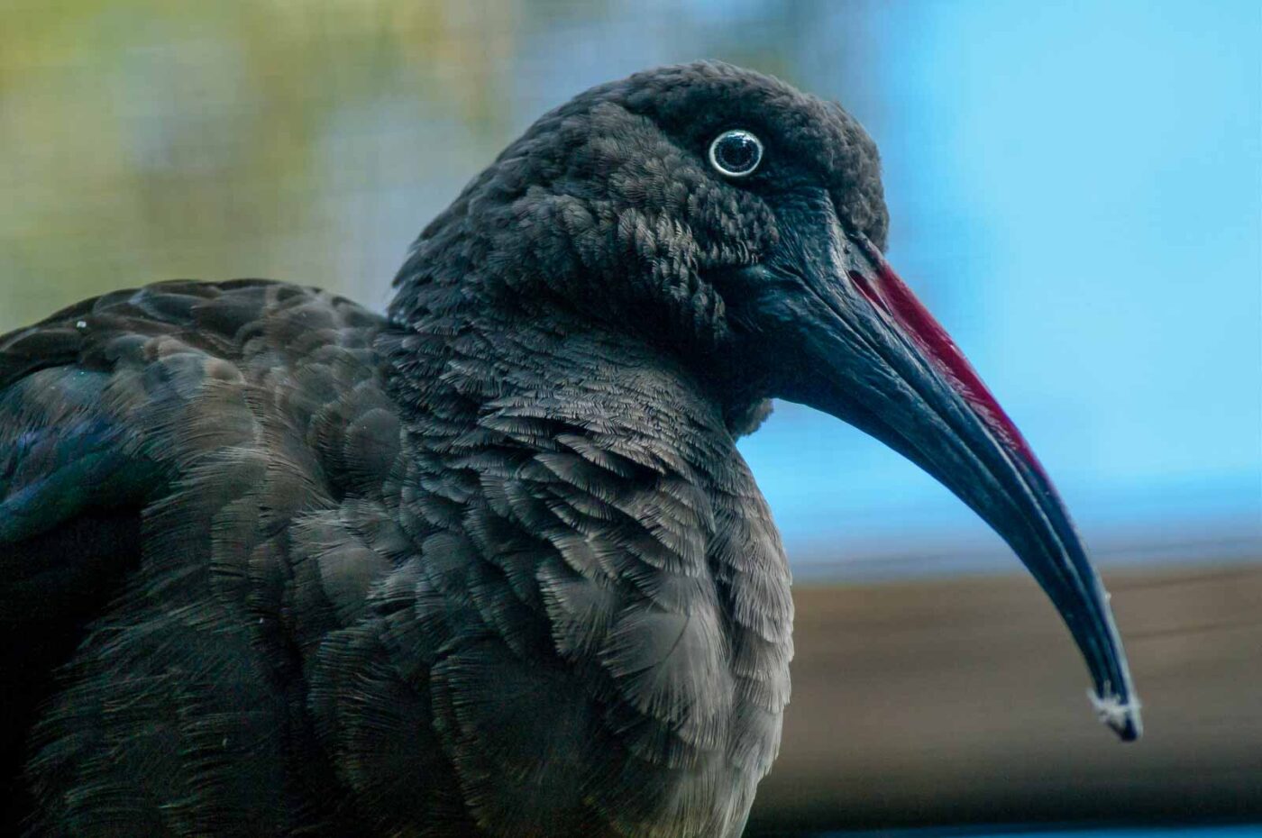 2016-10-05 - Zoo Duisburg