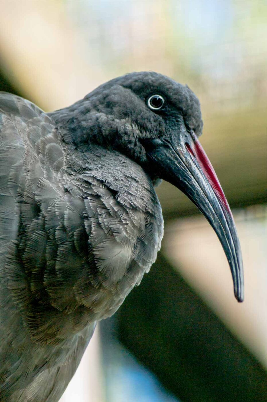 2016-10-05 - Zoo Duisburg