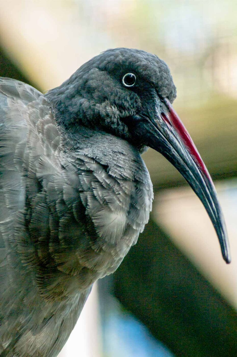 2016-10-05 - Zoo Duisburg