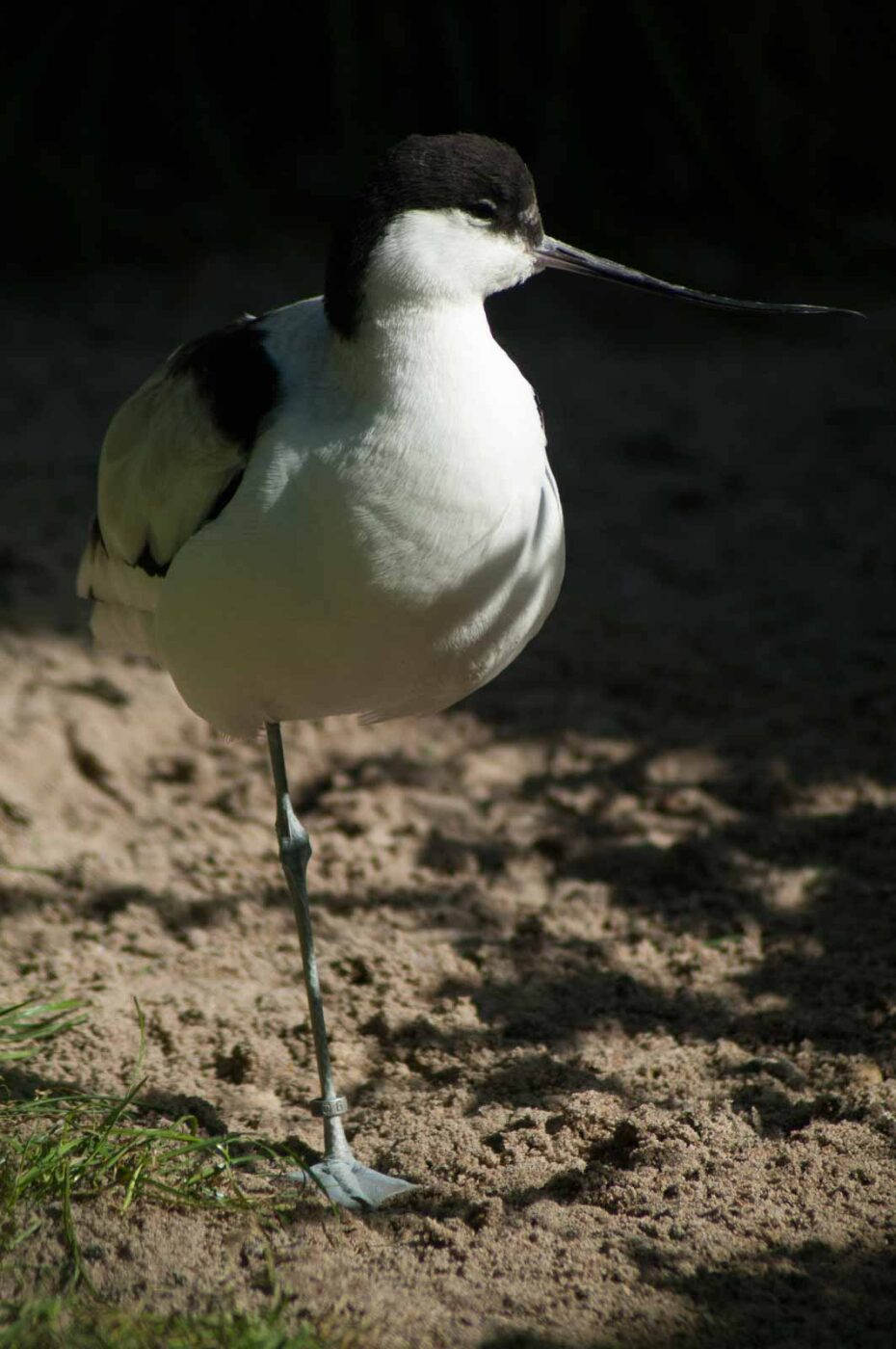 2016-10-05 - Zoo Duisburg