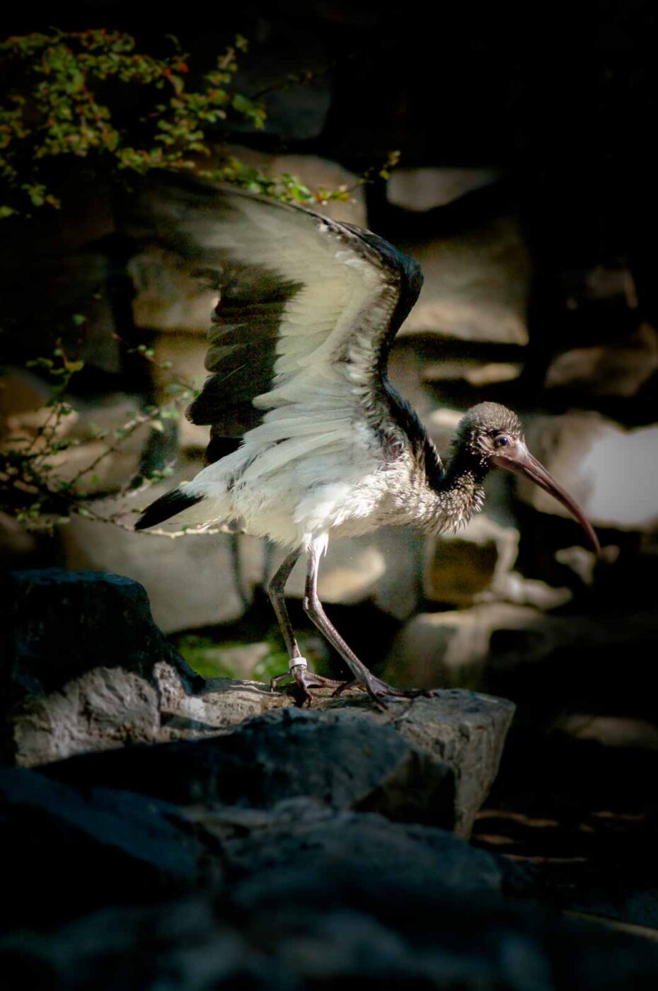 2016-10-05 - Zoo Duisburg