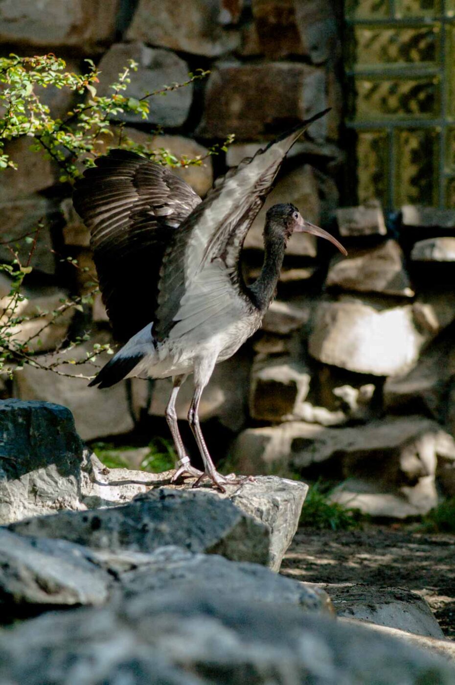 2016-10-05 - Zoo Duisburg