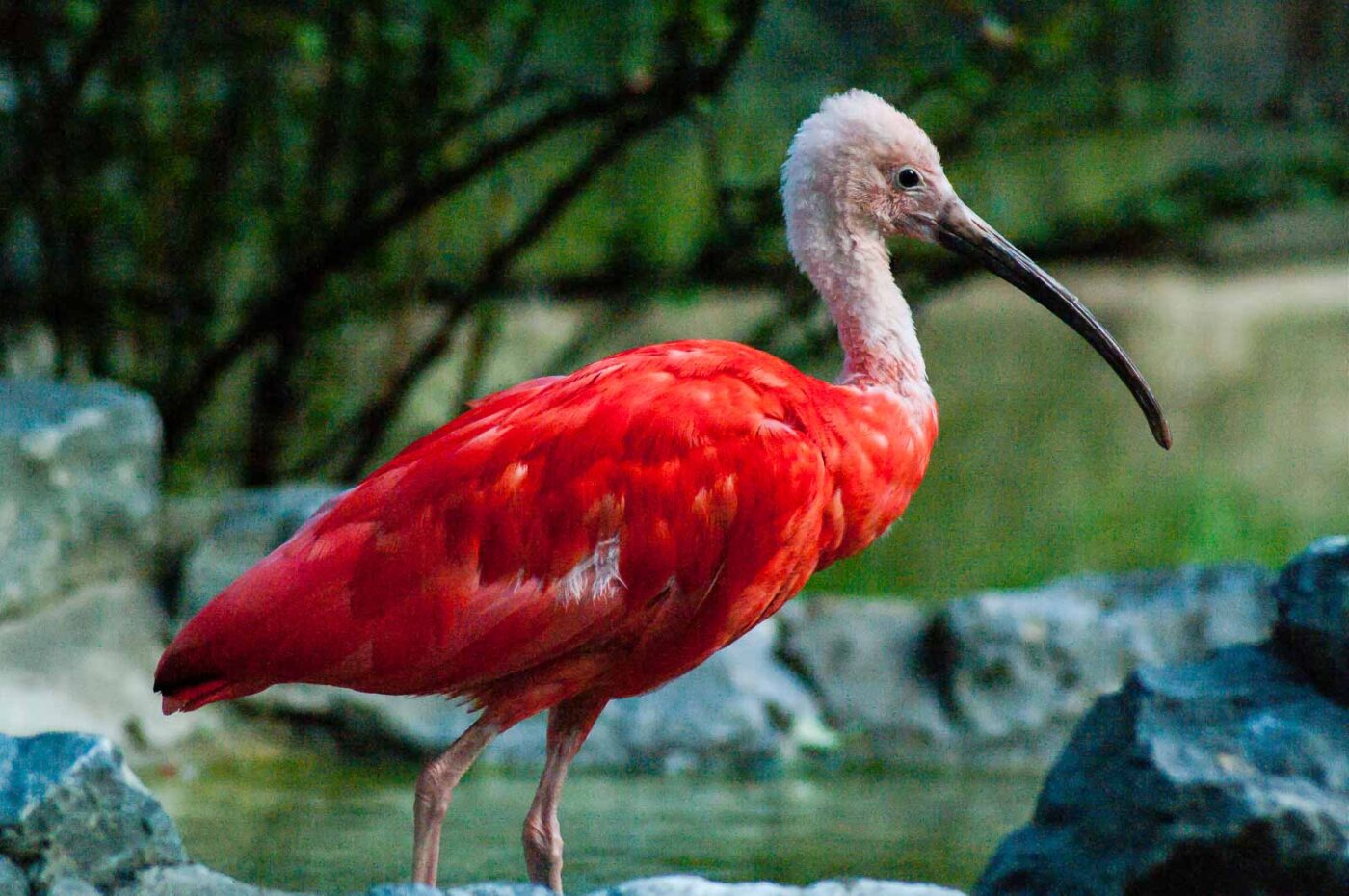 2016-10-05 - Zoo Duisburg