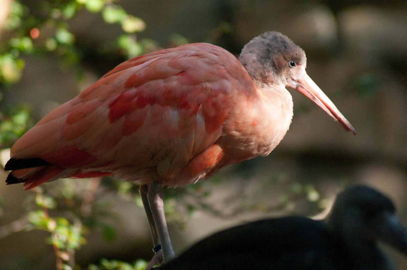 2016-10-05 - Zoo Duisburg