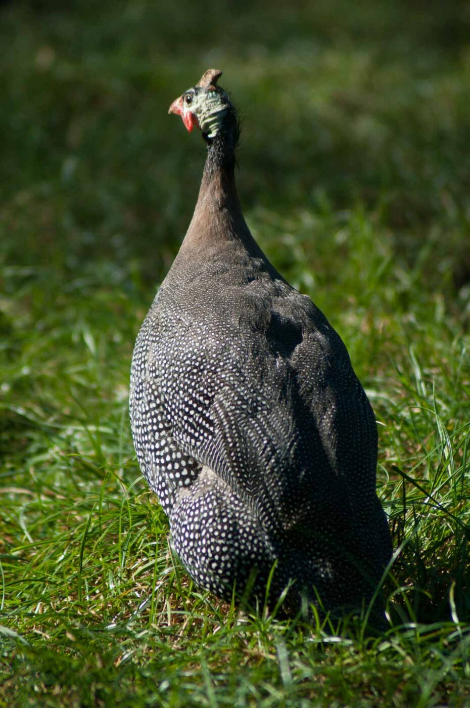 2016-10-05 - Zoo Duisburg