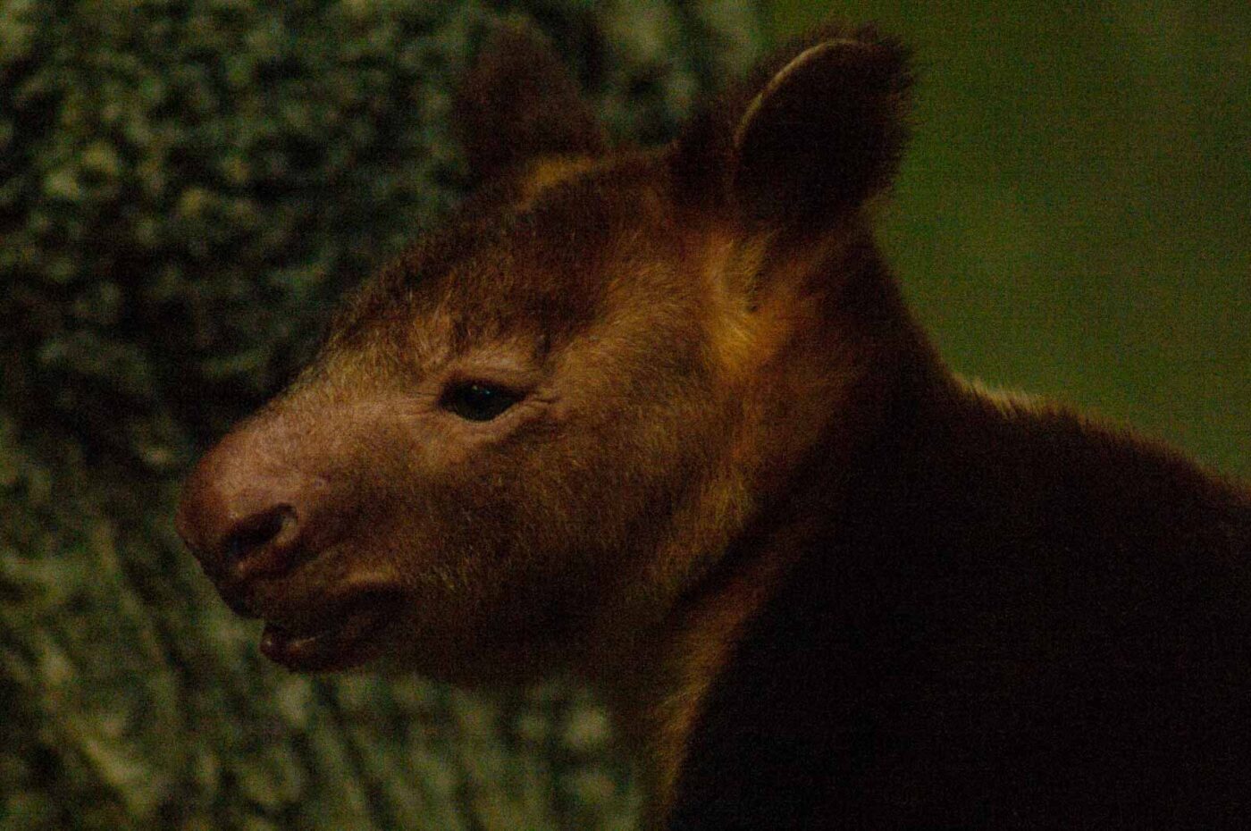 2016-10-05 - Zoo Duisburg