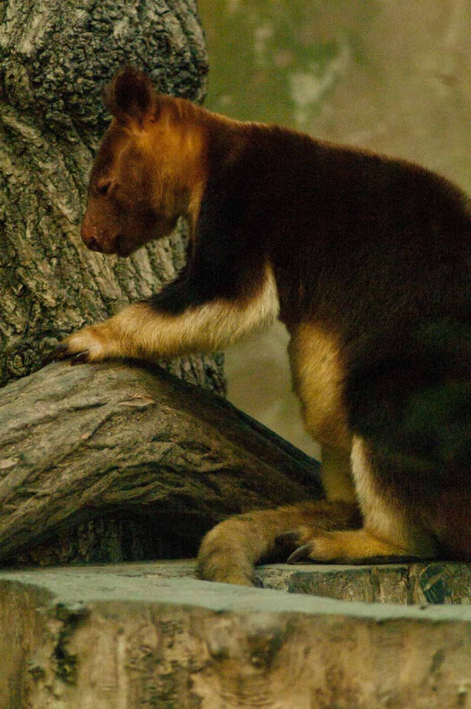 2016-10-05 - Zoo Duisburg