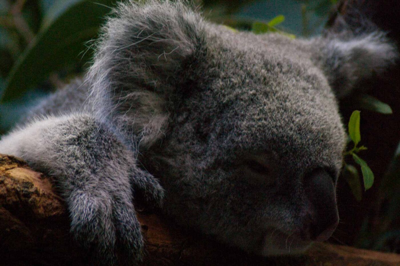 2016-10-05 - Zoo Duisburg