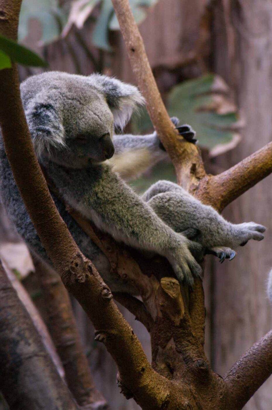 2016-10-05 - Zoo Duisburg